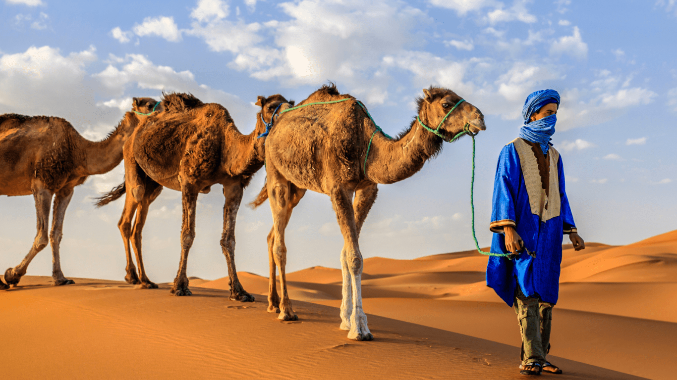 2 DAYS TOUR FROM MARRAKECH TO FES VIA THE SAHARA DESERT