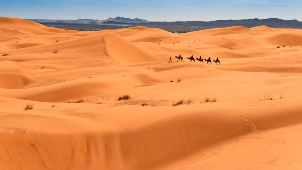 7 Days Morocco Tour from Fes to Marrakech / One Week Itinerary